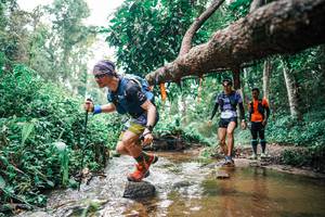 BIB: 
                            <button type="button" onclick="openModal(25368646)" class="btn btn-primary btn-sm float-right btn-popup" data-toggle="modal" data-target=".modal-high-quality">
                        <i class="fas fa-shopping-cart"></i> Add to Cart
                    </button>
                                            <button type="button" onclick="isThisMe(25368646, true)" class="btn btn-success btn-sm float-right btn-popup btn-isme hidden" data-toggle="tooltip" data-placement="bottom" title="นี่คือรูปของคุณใช่ไหม คลิกที่นี่เพื่อเอาเข้าอัลบั้ม">
                        <i class="fas fa-plus"></i> Add to album
                    </button>
                    <button type="button" onclick="isThisMe(25368646, false)" class="btn btn-warning btn-sm float-right btn-popup btn-isnotme hidden">
                        <i class="fas fa-ban"></i> Remove from album
                    </button>